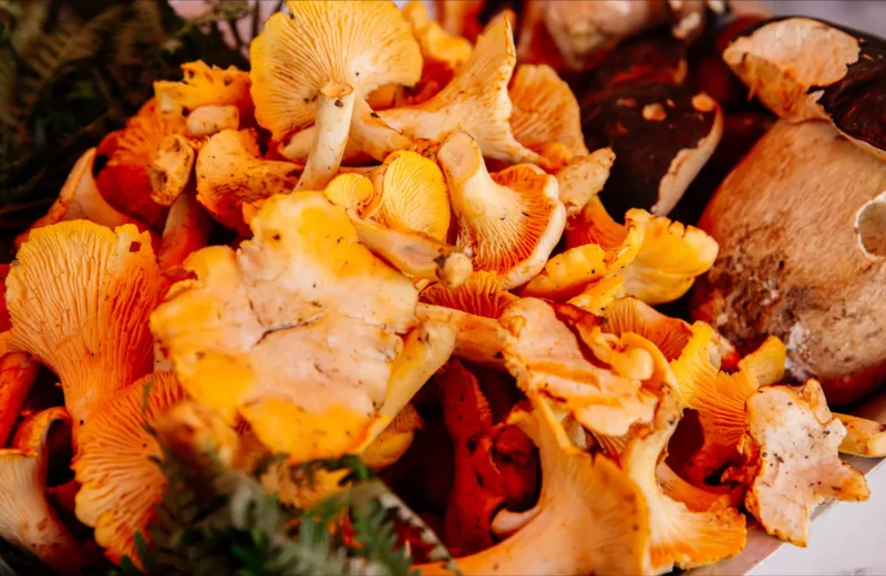 Flânerie au marché