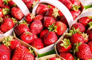 Erdbeeren-Einzahlungsheader
