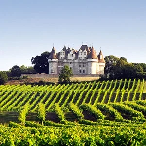 De Périgueux au Château de Monbazillac