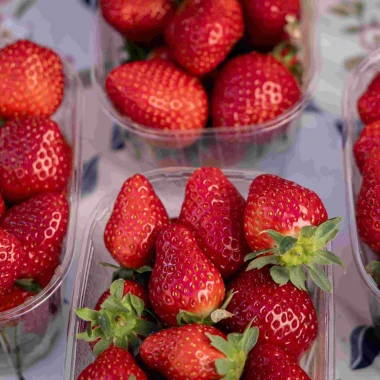 Capitale de la gourmandise