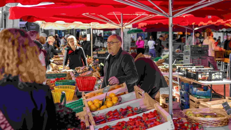 Paseo de un día en el mercado.
