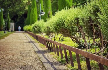 Que faire pendant les vacances de printemps à Périgueux ?