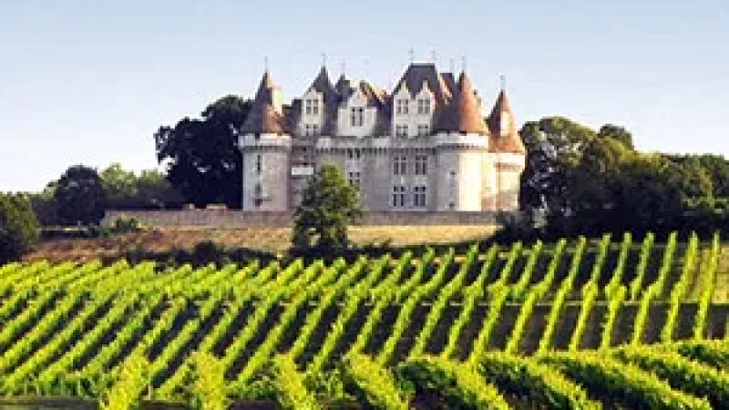 De Périgueux au Château de Monbazillac