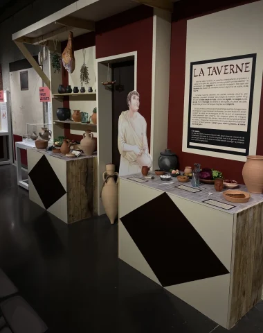 Die Ausstellungen