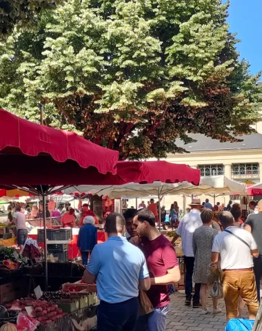 Jour de marché à Périgueux : le plein de terroir !