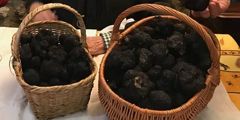 Les produits du terroir