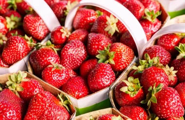 La Fraise du Périgord