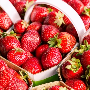 La Fraise du Périgord