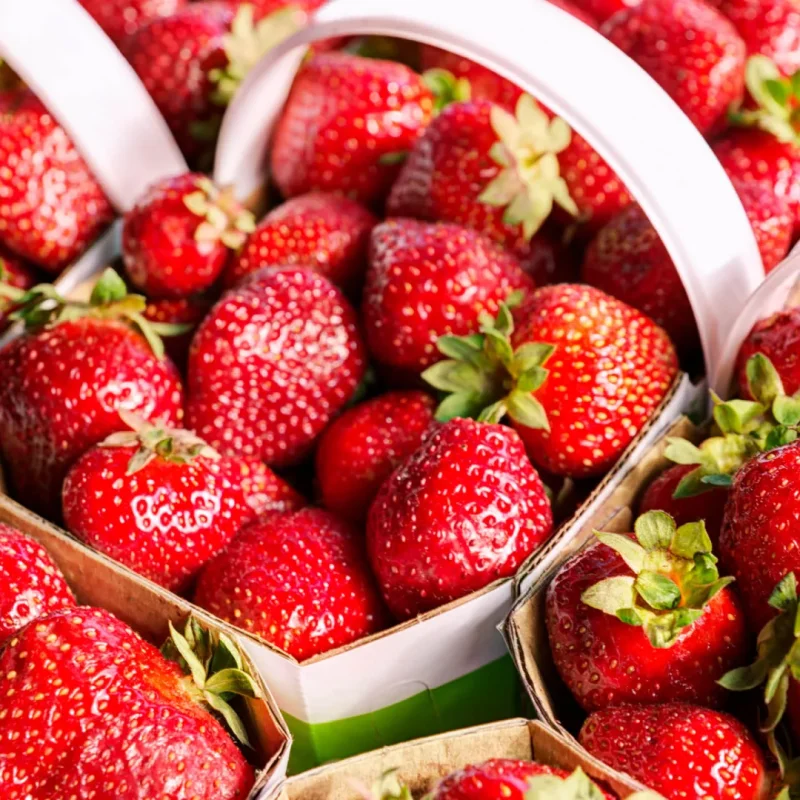 La Fraise du Périgord