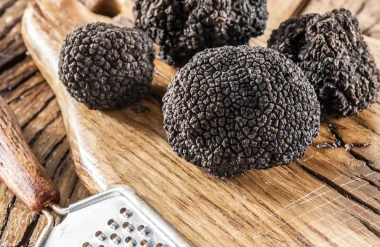 La truffe, l’or noir du Périgord