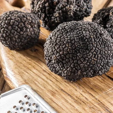 La truffe, l’or noir du Périgord